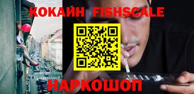 твердый Гатчина
