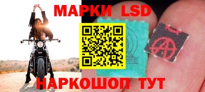 твердый Гатчина