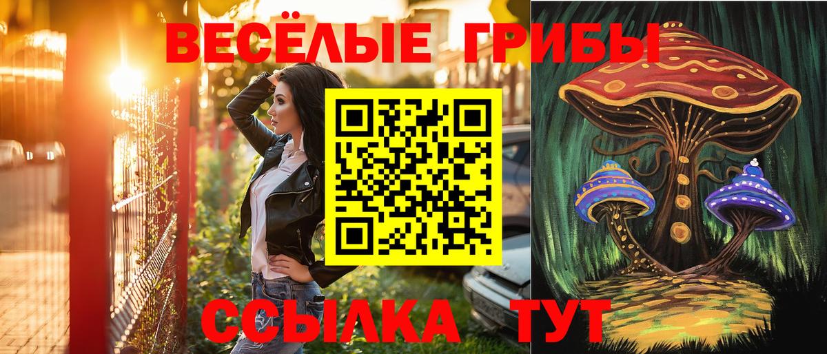 Галлюциногенные грибы мицелий  Галлюциногенные грибы MAGIC MUSHROOMS  Вход с VPN  Муравленко 